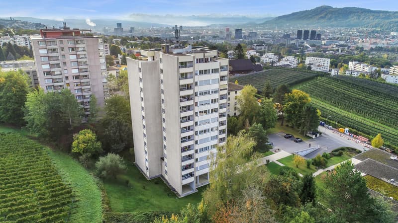 Wohnen inmitten der Rebbergen mit Blick über Zürich (1)