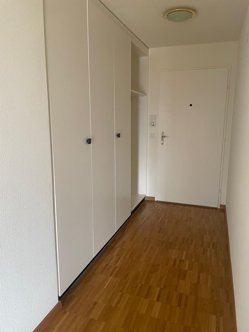 Wohnen inmitten der Rebbergen mit Blick über Zürich (5)