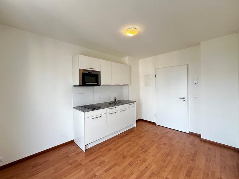 Helle Wohnung an zentraler Lage (2)
