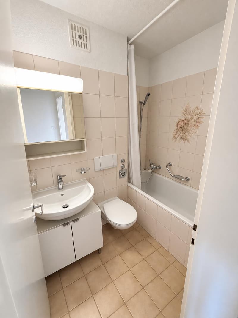 3.0 Zimmerwohnung in Basel (8)