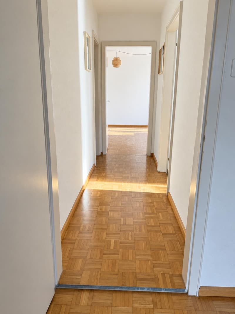 3.0 Zimmerwohnung in Basel (4)