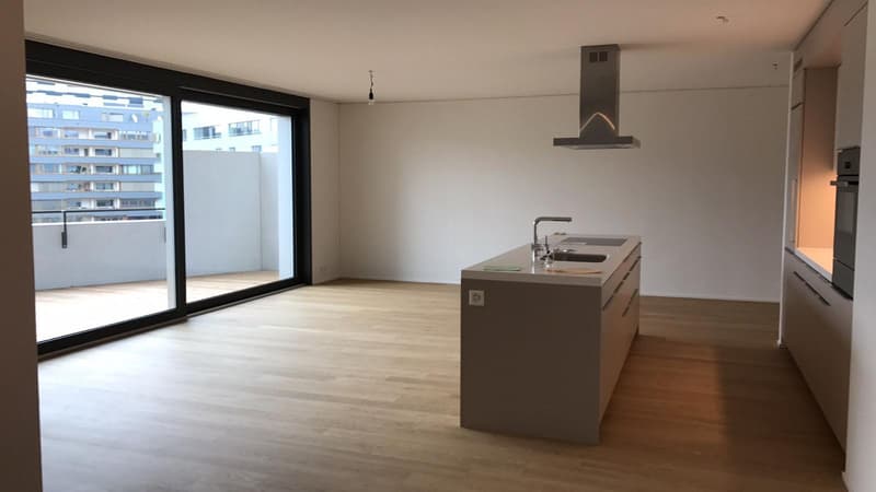 Grosszügige und lichtdurchflutete 5.5 Zimmerwohnung - Wohnen im Hard Turm Park (5)