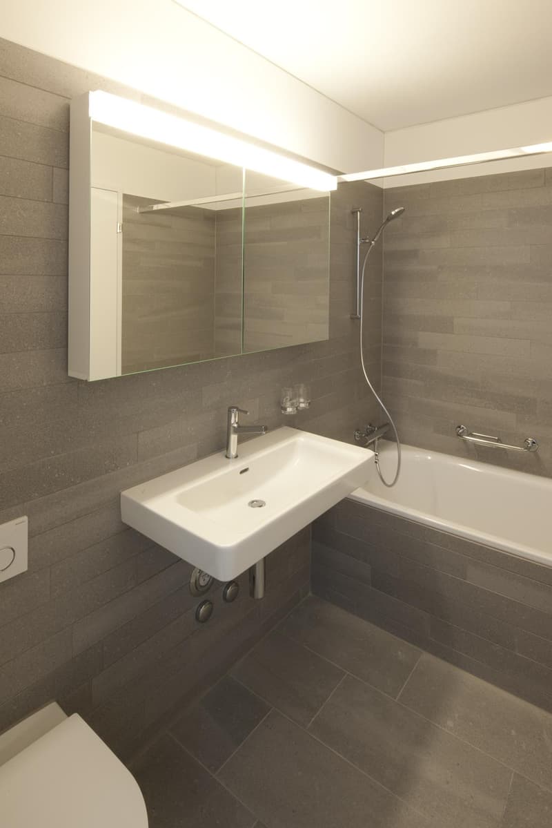 Grosszügige und lichtdurchflutete 5.5 Zimmerwohnung - Wohnen im Hard Turm Park (6)
