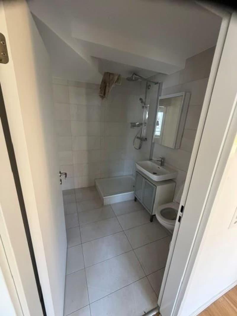 2.5 Zimmerwohnung nähe Limmatplatz (4)