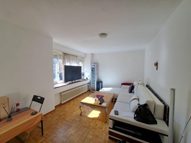 1.0 Zimmerwohnung in Zürich (befristet) (3)