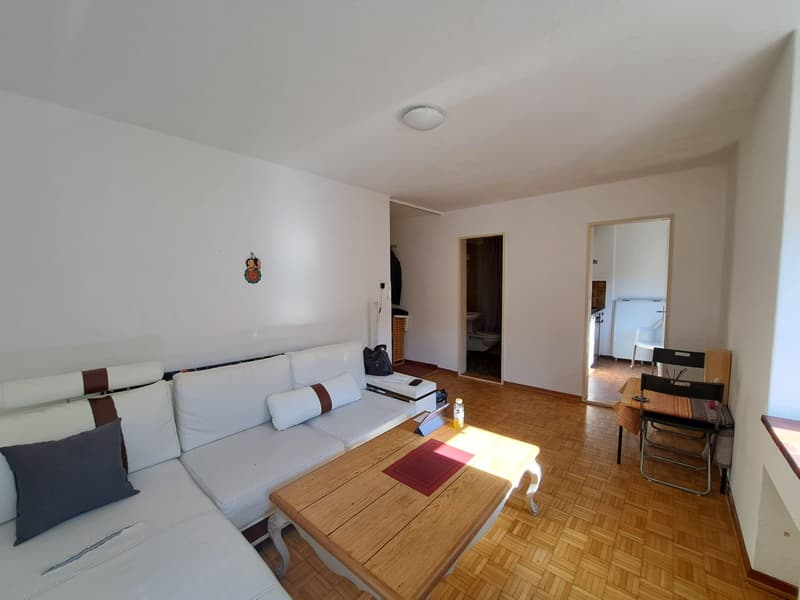 1.0 Zimmerwohnung in Zürich (befristet) (2)