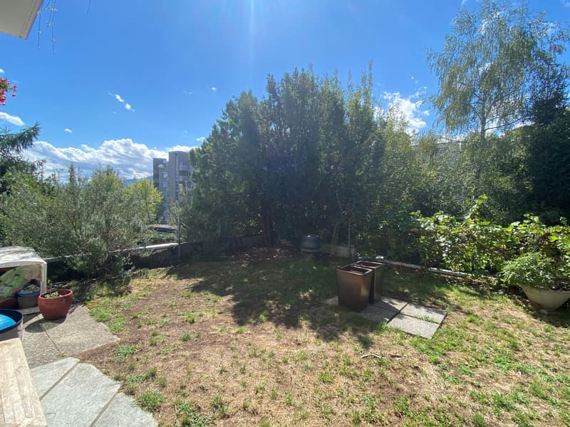 Sonnige Wohnung mit eigenem Garten in Höngg (1)