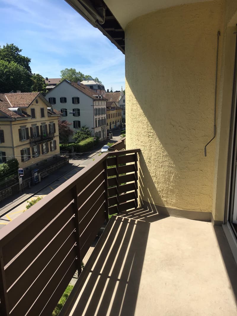 Wunderschöne Altbauwohnung mitten in Zürich (7)