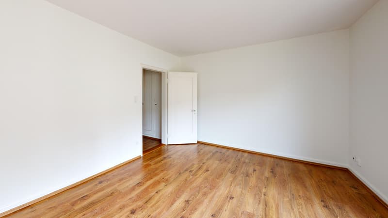 Wunderschöne Altbauwohnung mitten in Zürich (3)