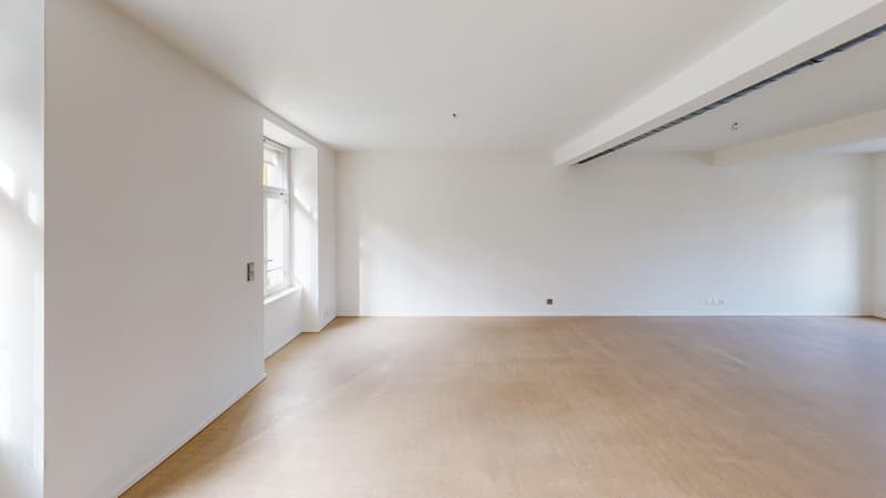 Exklusive Loft-Wohnung im Zwicky-Areal (2)