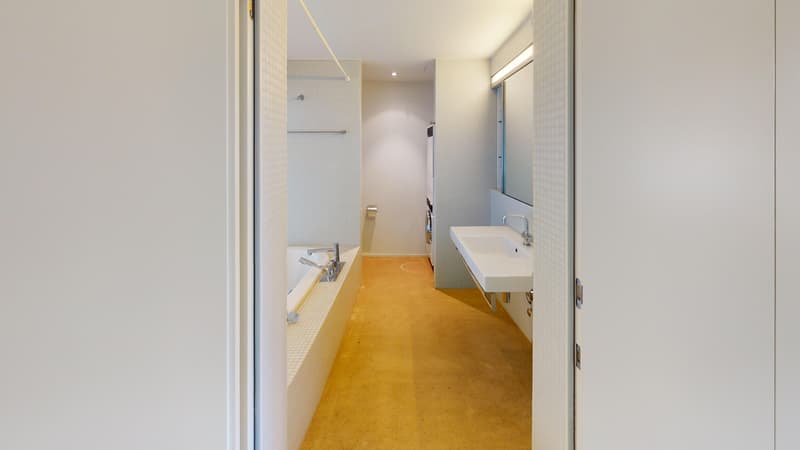 Exklusive Loft-Wohnung im Zwicky-Areal (4)