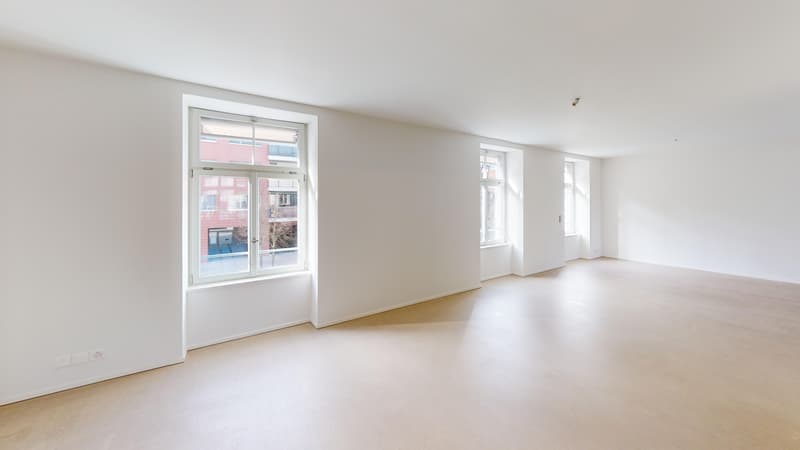 Exklusive Loft-Wohnung im Zwicky-Areal (3)