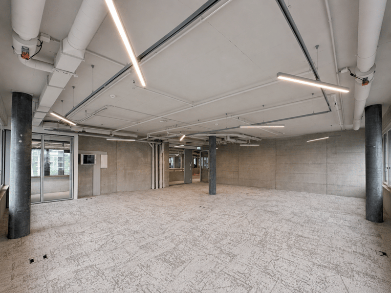 Spacious and versatile area in Vivo Aesch (3)