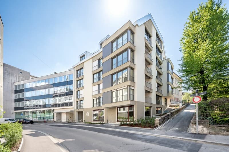 Versatile commercial spaces at Baumackerstrasse 9 in Zurich Oerlikon (5)