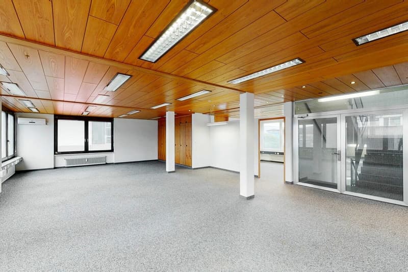 Klimatisierte Büro- und Gewerbefläche (2)