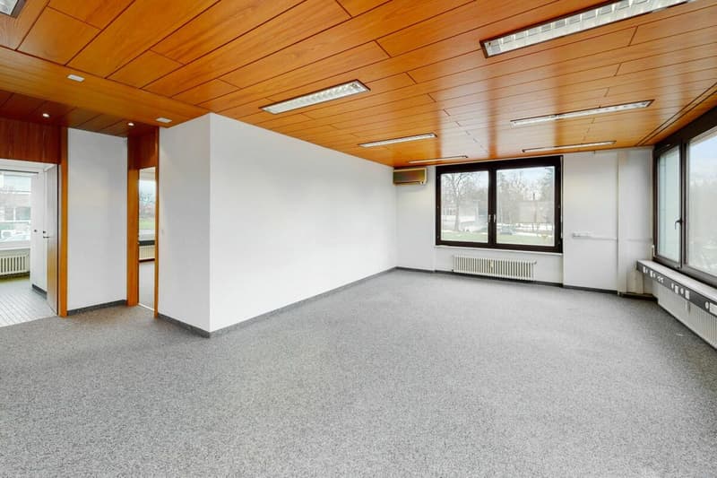 Klimatisierte Büro- und Gewerbefläche (3)