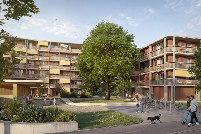 4.5-Zimmer-Neubauwohnung ab 2027 im "TIGLIO" in Buchs! (3)