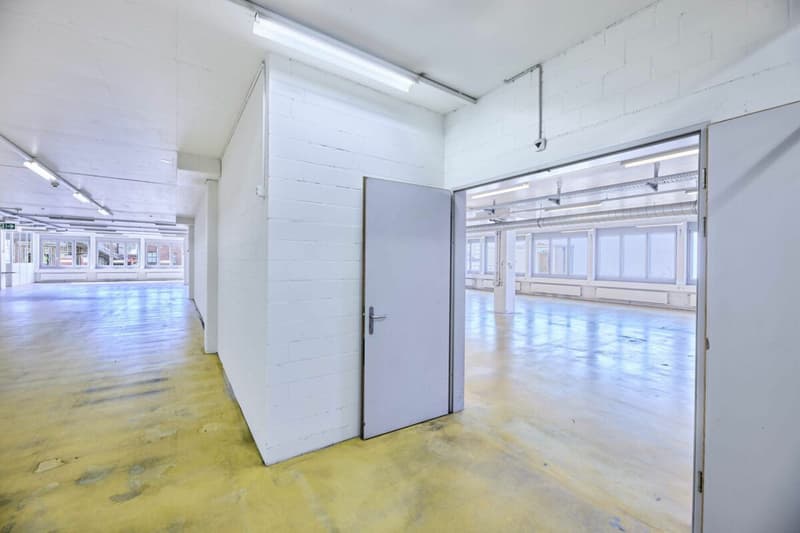 Vielfältige Nutzungsfläche in Basel - Flexibel und Praktisch! (7)