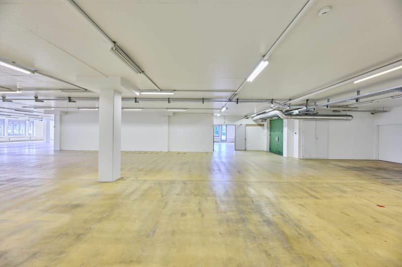 Ideale Lager-/Logistik- und Versandfläche in Basel - 832 m² mit hoher Bodenlast (4)