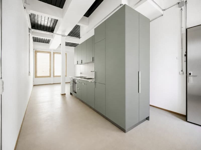 Einzigartige Maisonette im Industrial Style am Rhein (1)