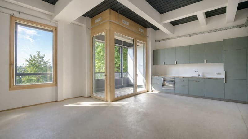 Appartement maisonnette spacieux sur le Rhin avec charme industriel (4)