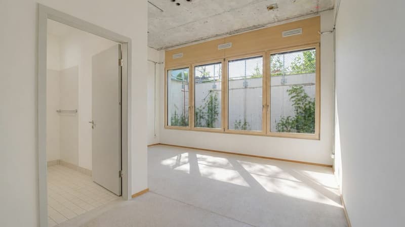 Appartement maisonnette spacieux sur le Rhin avec charme industriel (2)