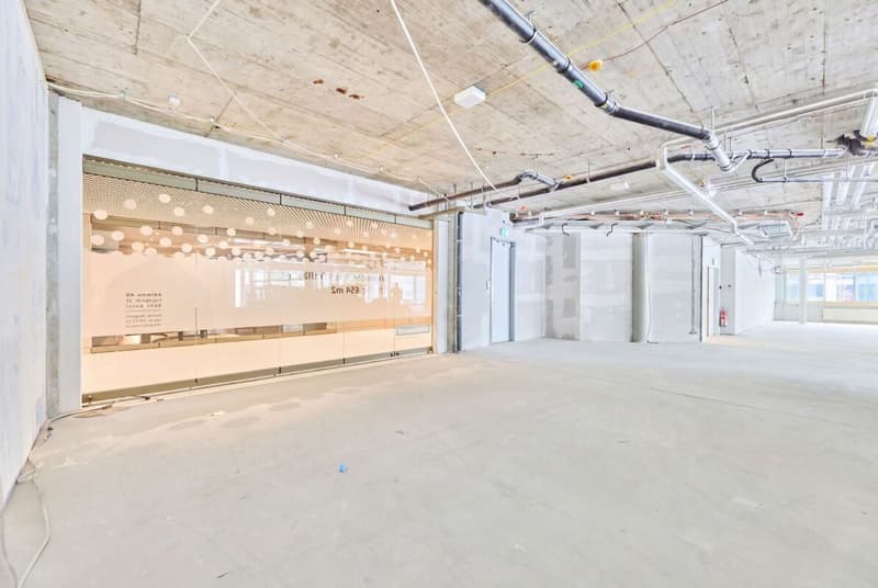 Espace commercial au Mühlemattcenter Oberwil (6)
