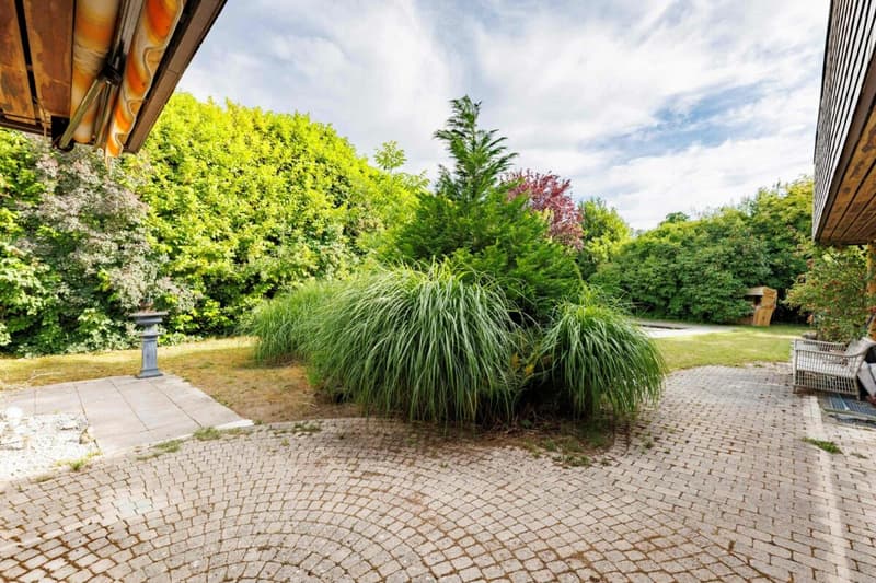Blick vom Sitzplatz in den Garten
