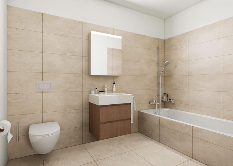 Appartamenti di proprietà ristrutturati in una posizione ideale ad Au-Wädenswil, perfetti per uno stile di vita più leggero (2)
