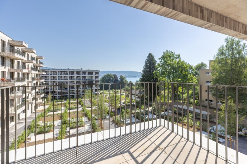 4.5 Zimmerwohnung in Au Wädenswil (1)