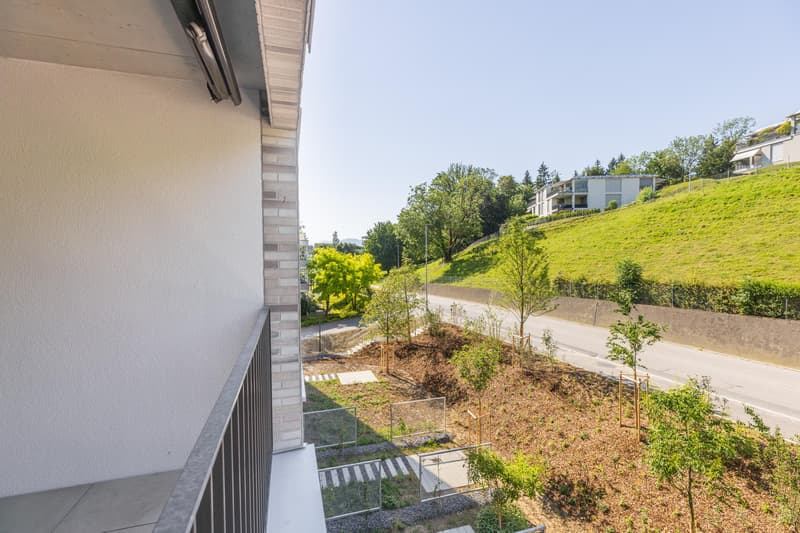 4.5 Zimmerwohnung in Au Wädenswil (9)