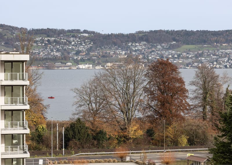 3.5 Zimmerwohnung in Au Wädenswil (2)
