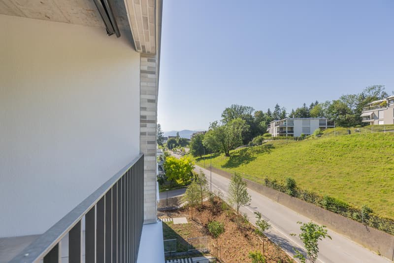 Appartements spacieux en propriété dans un emplacement familial à Au-Wädenswil, idéal pour grandir et prospérer (2)