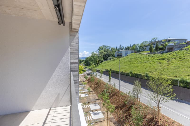 2.5 Zimmerwohnung in Au Wädenswil (7)
