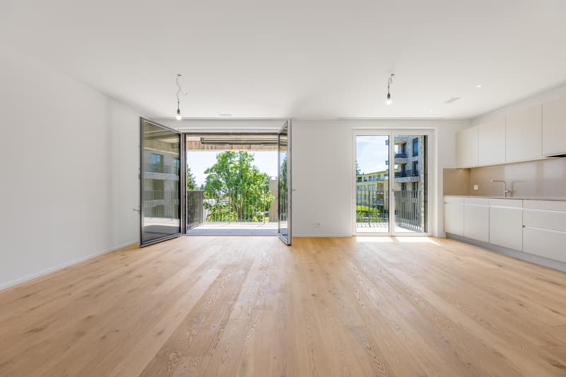 4.5 Zimmerwohnung in Au Wädenswil (5)