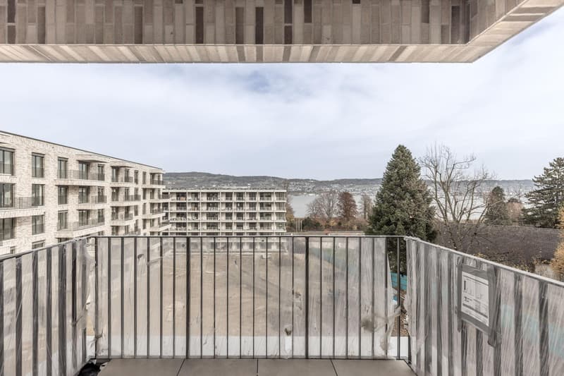 Bezugsbereite Eigentumswohnung in Au Wädenswil (1)