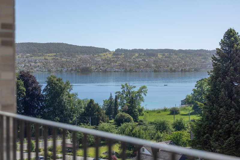3.5 Zimmerwohnung in Au Wädenswil (1)