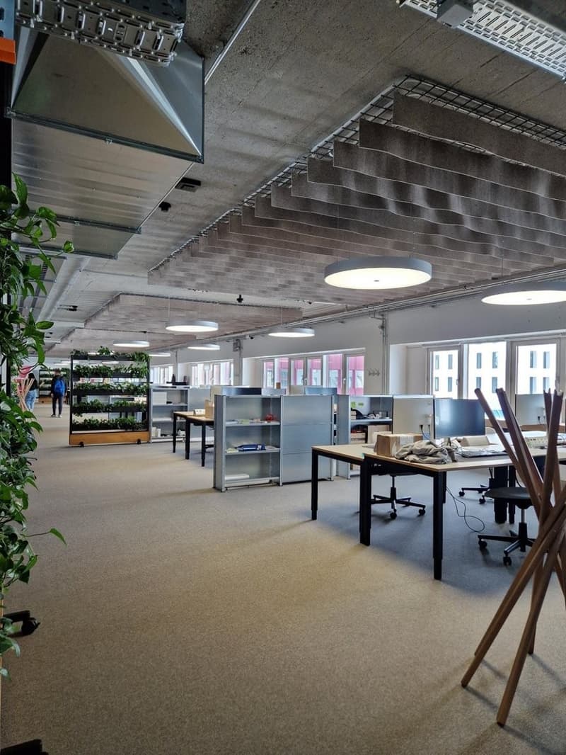 Centrale, Flessibile, Ispirante - Il Tuo Spazio di Coworking a Schlieren! (5)