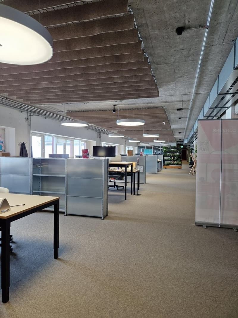 Centrale, Flessibile, Ispirante - Il Tuo Spazio di Coworking a Schlieren! (4)