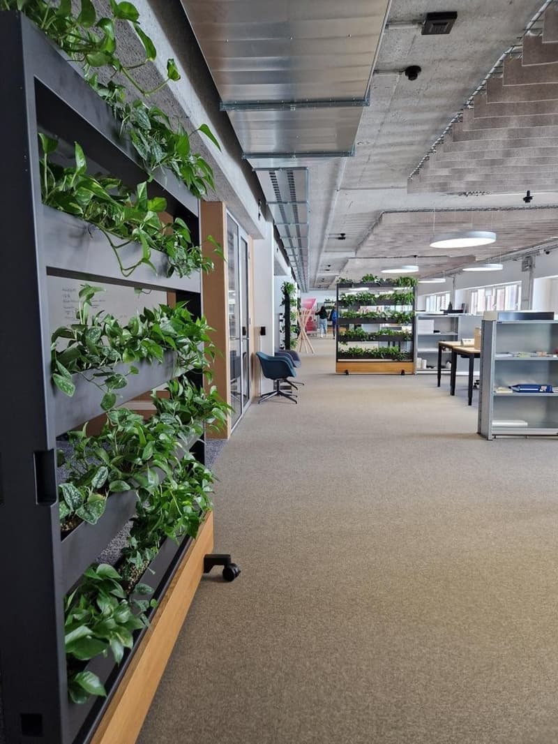 Centrale, Flessibile, Ispirante - Il Tuo Spazio di Coworking a Schlieren! (6)