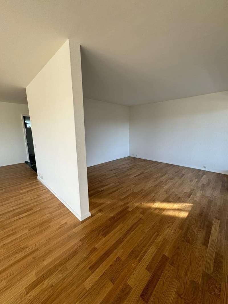 Studio.jpg