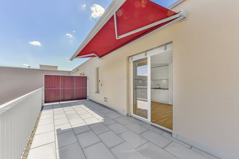 Terrasse 3