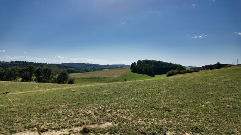 Villa familiale neuve de 5 pces à Champtauroz / VD (4)