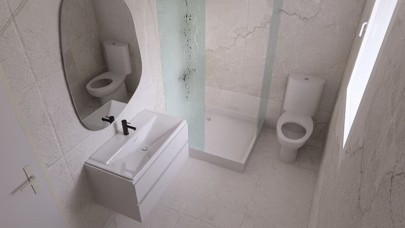 Family villas with 5.5 rooms and lake view in Meyriez (13)