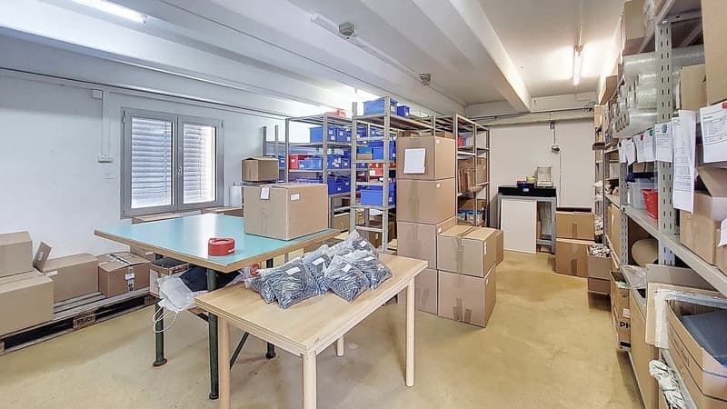 Gewerbliche / industrielle Lokale in Cressier (10)