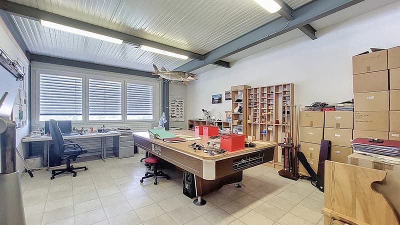 Gewerbliche / industrielle Lokale in Cressier (13)