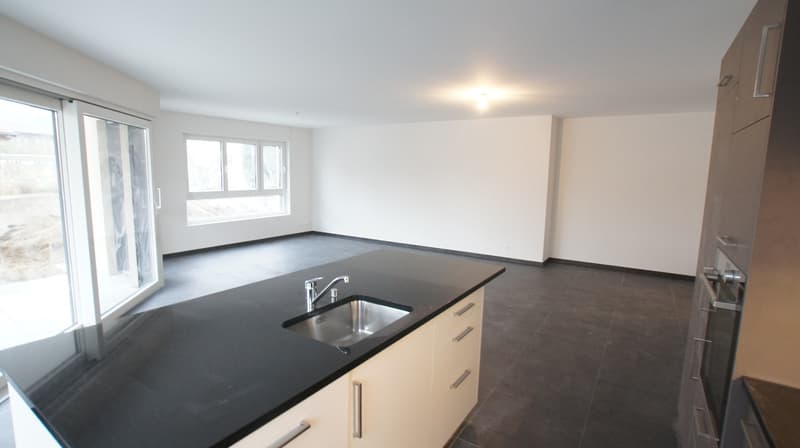 Appartement 4.5 pces de 122 m2 à Granges-Marnand / VD (3)
