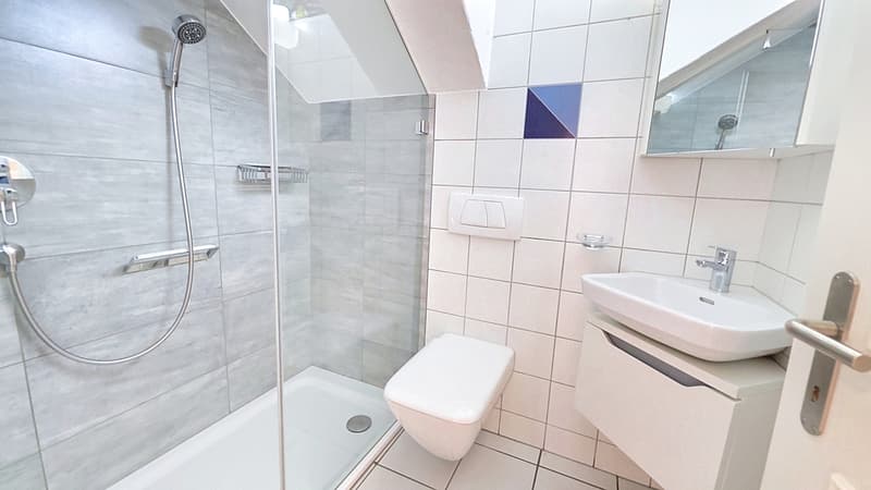 Appartement 5 pces rez - salle de bain