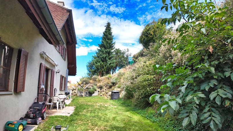 Extérieur - jardin d'agrément
