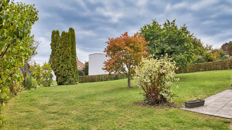 Extérieur - jardin
